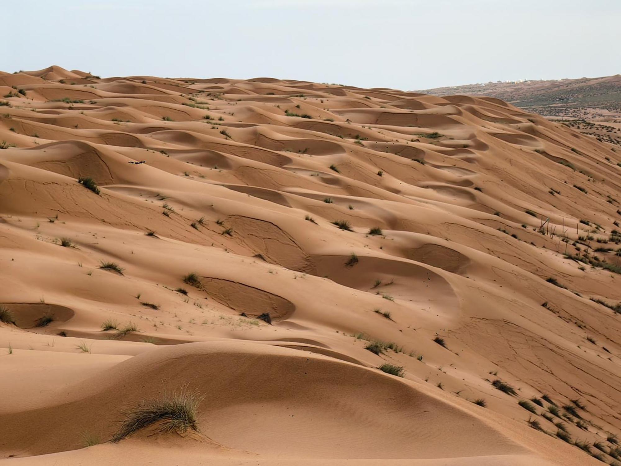 Desert Rose Camp Badīyah Kültér fotó