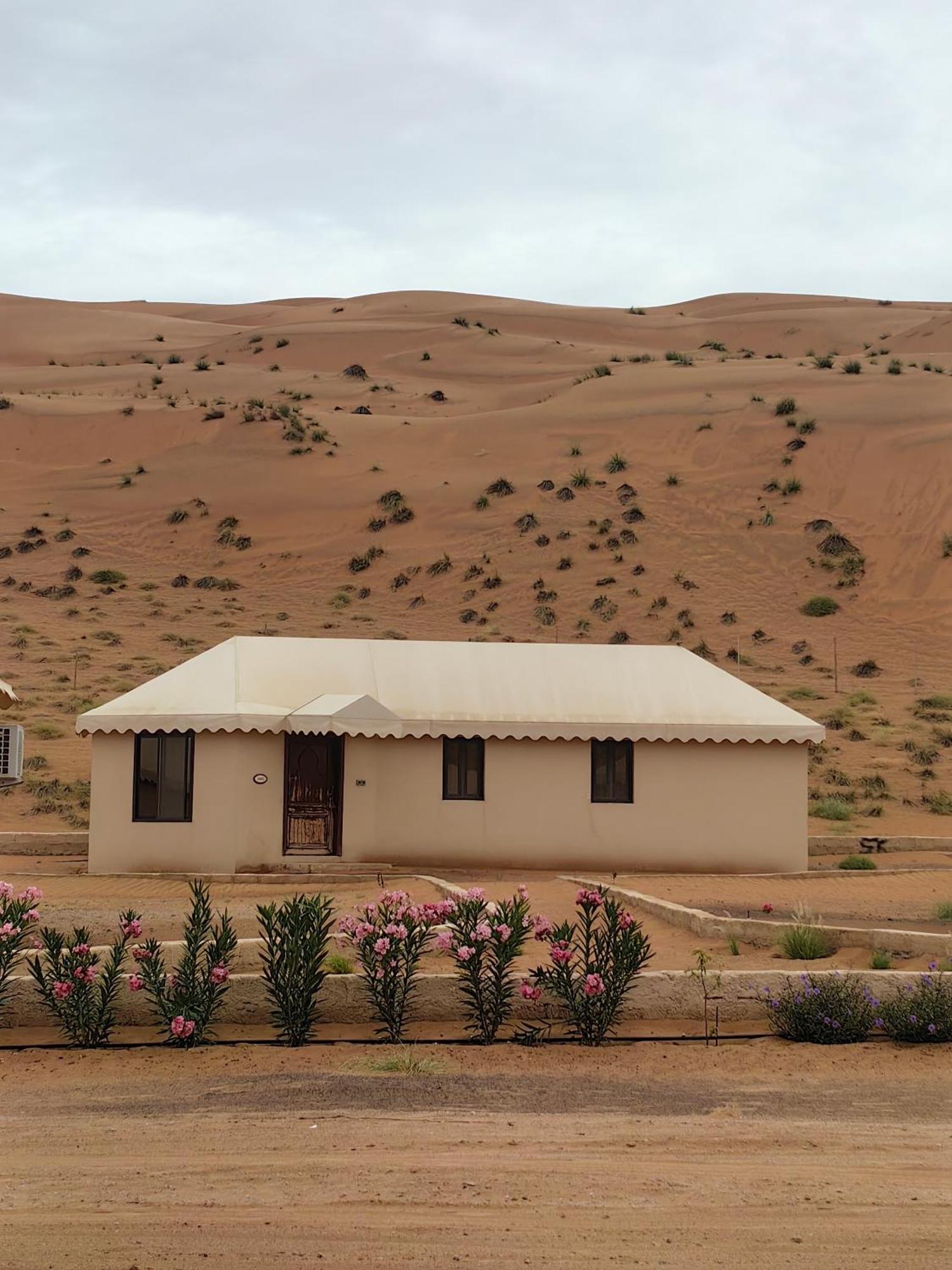 Desert Rose Camp Badīyah Kültér fotó